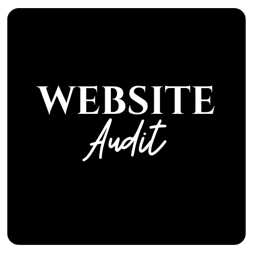 Website Audit
