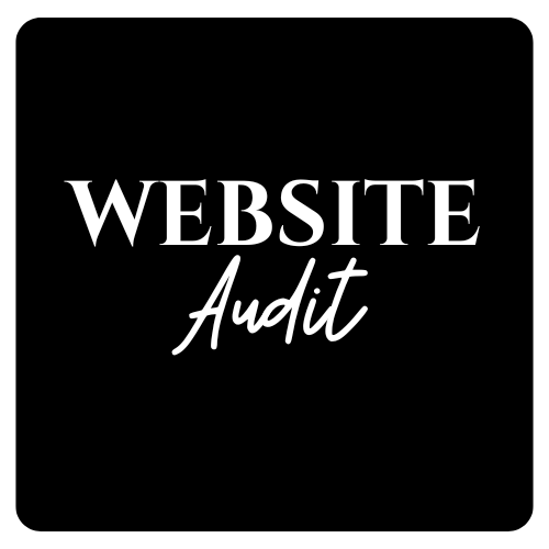 Website Audit